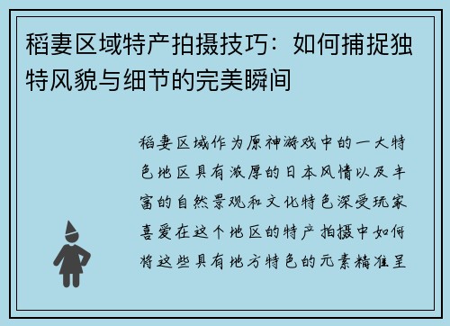 稻妻区域特产拍摄技巧：如何捕捉独特风貌与细节的完美瞬间